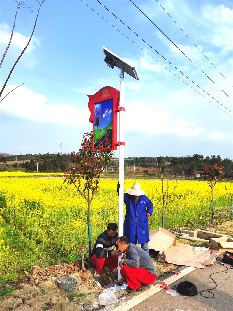 微光太能陽(yáng)景觀燈安裝